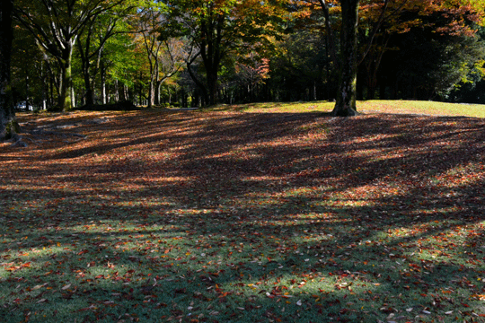 c0093046_8355339.gif