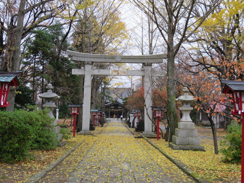 b0238249_2034970.jpg