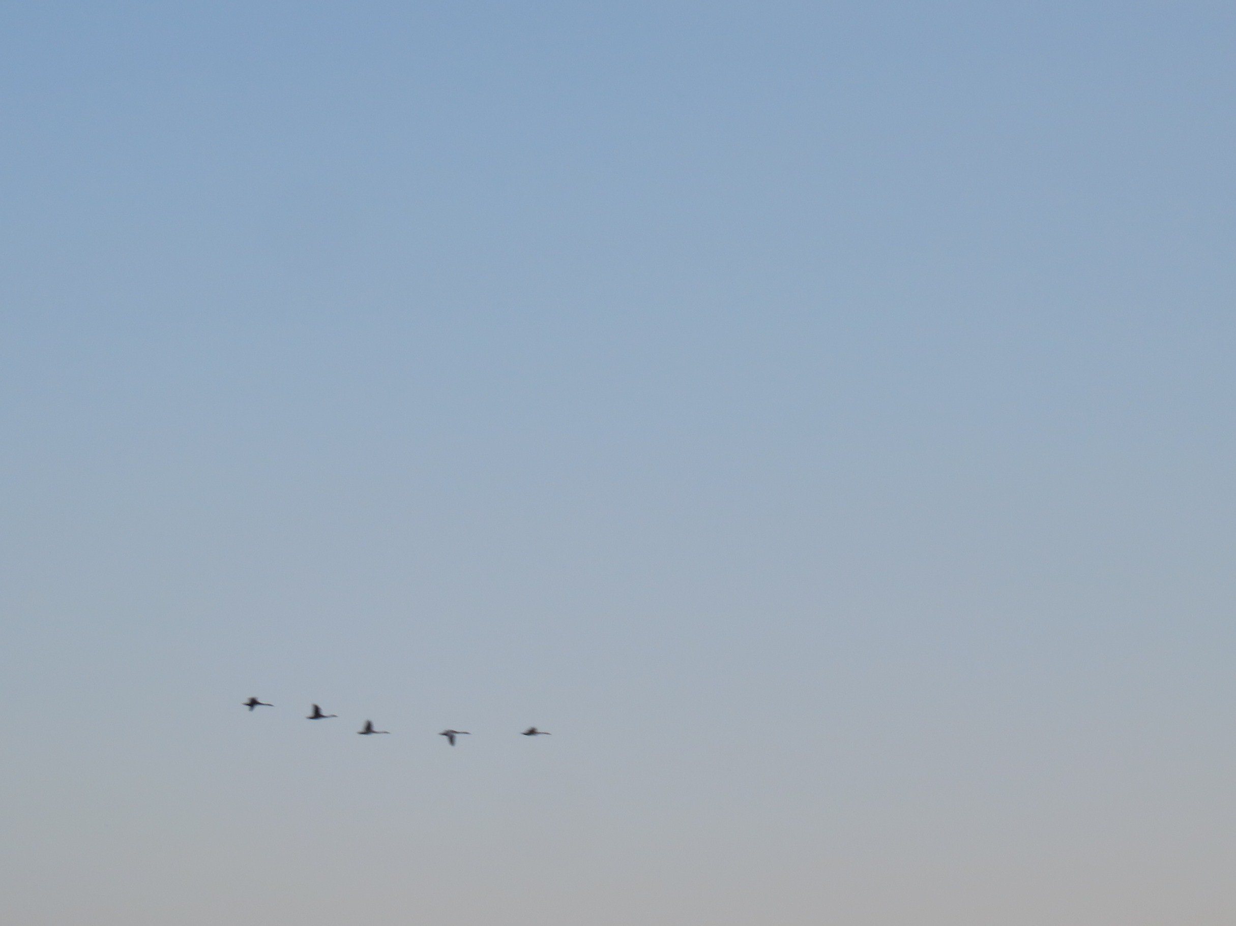 b0238249_20453459.jpg