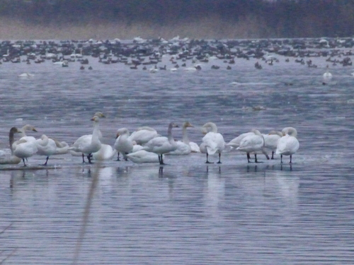 b0238249_2101435.jpg