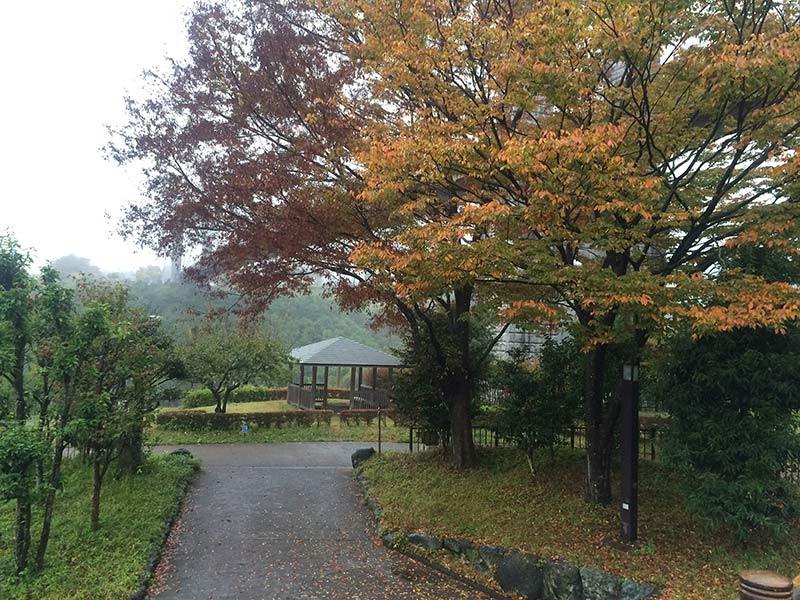 雨の秦野戸川公園　　－その１－_b0031558_23085505.jpg