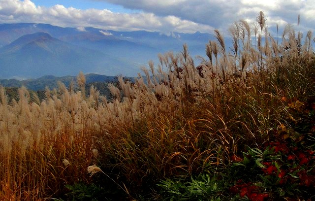 ＜2015年10月＞錦秋の「斑尾山・戸隠山」（北信五岳の山旅）_c0119160_12241780.jpg