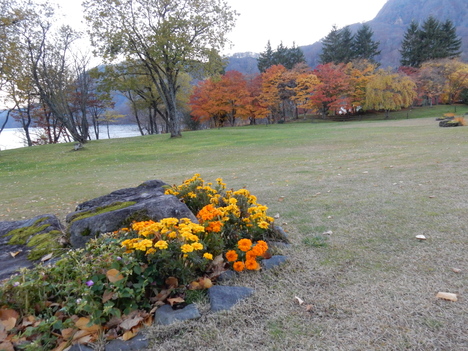 ’15,11,8(日)東北の旅②十和田湖_f0060461_11285573.jpg