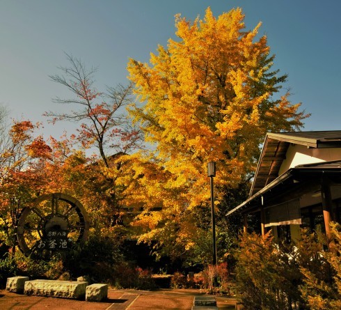 山梨県　【忍野八海】_e0347862_20363247.jpg