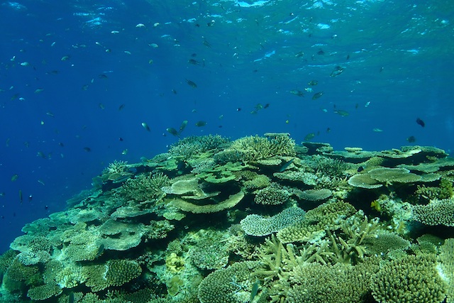 b0062363_1550314.jpg