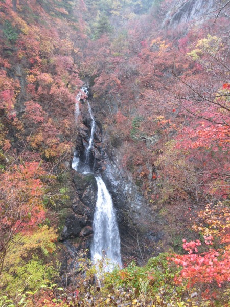 d0010065_22071710.jpg