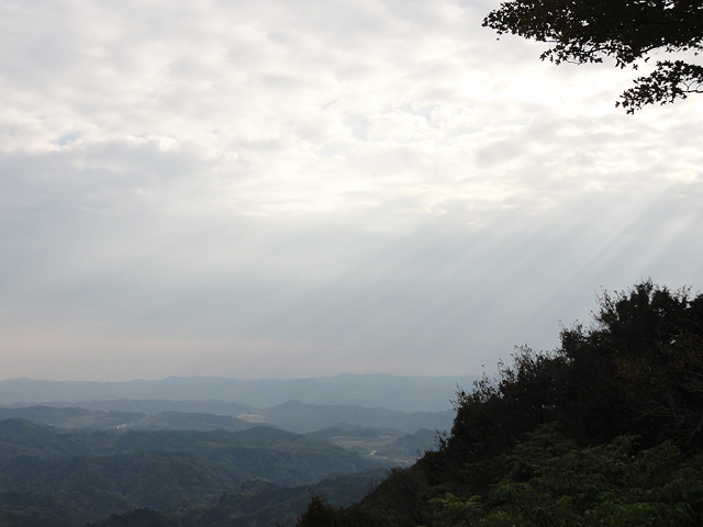 b0006870_1359638.jpg