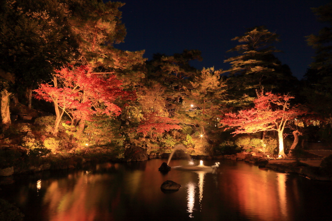 弥彦公園もみじ谷（ライトアップ）_e0096372_13502369.jpg