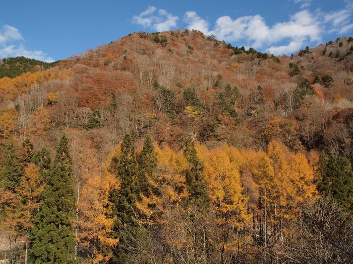 『晩秋のせせらぎ街道の紅葉・黄葉と落葉松の風景』_d0054276_20232678.jpg