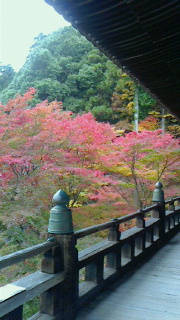 紅葉狩り_a0077081_859015.jpg