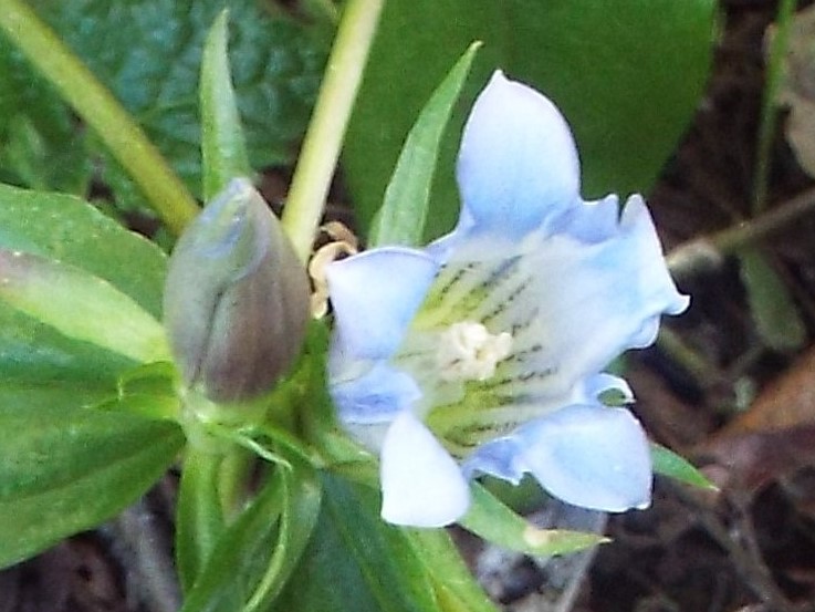 e0145782_17113167.jpg