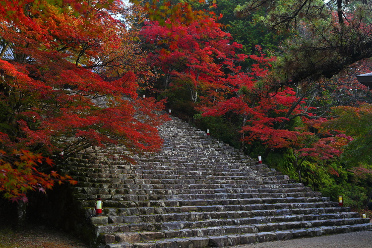 神護寺_e0051888_462965.jpg