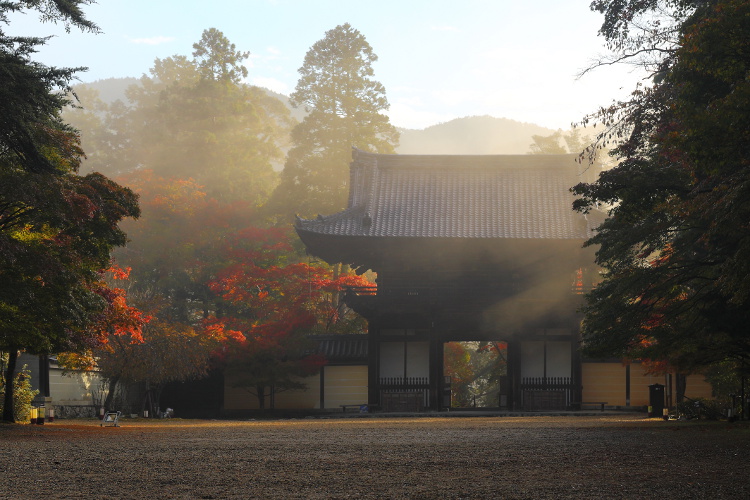 神護寺_e0051888_473647.jpg