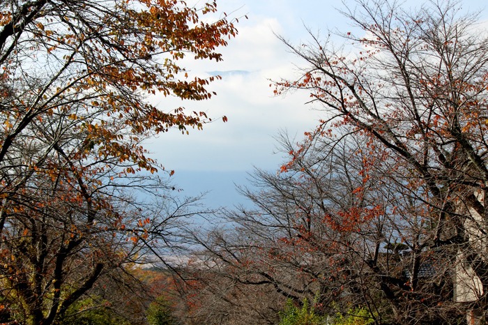 a0127090_1635110.jpg