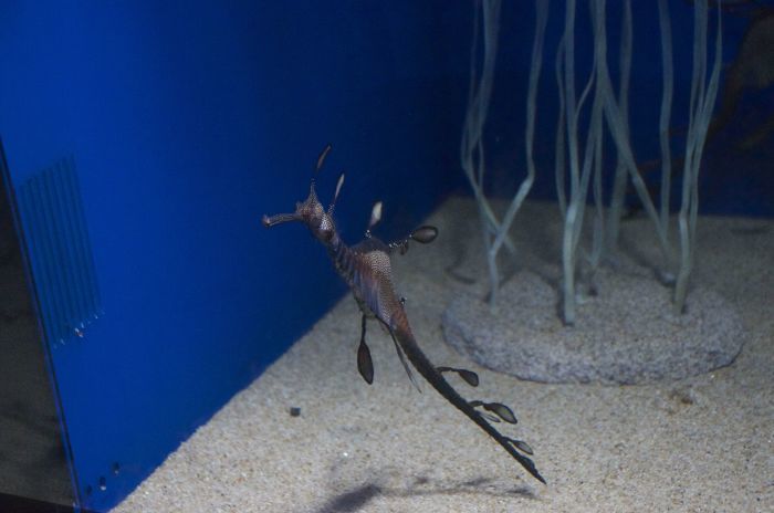 2015.11.07　サンシャイン水族館　東京都豊島区_b0217090_04181847.jpg