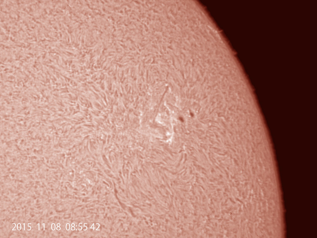 11月8日の太陽_e0174091_10593529.jpg