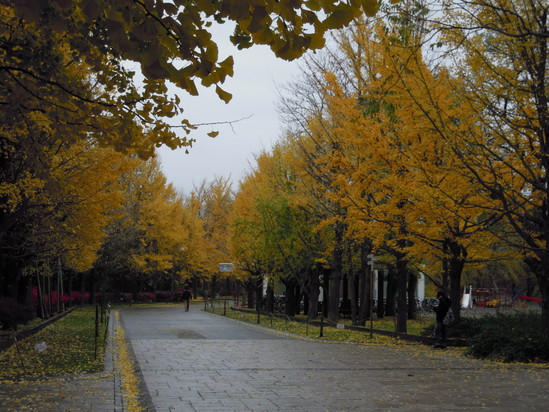e0116694_2120217.jpg