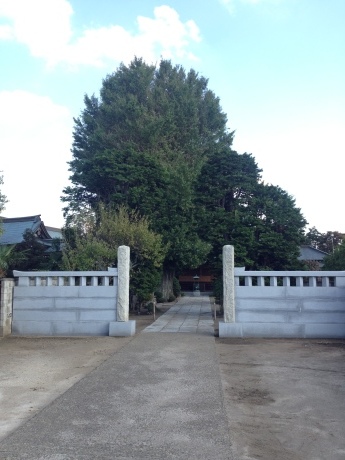 流山市　近藤勇の法要も行われるお寺　長流寺_c0361995_23555805.jpg