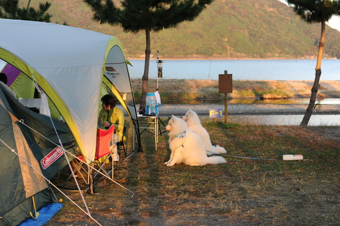 秋の知内浜キャンプ　part2_a0049296_1754916.jpg