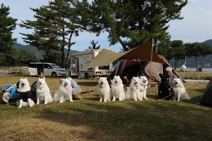 秋の知内浜キャンプ　part2_a0049296_18233016.jpg