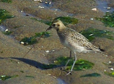 b0028598_18465055.jpg