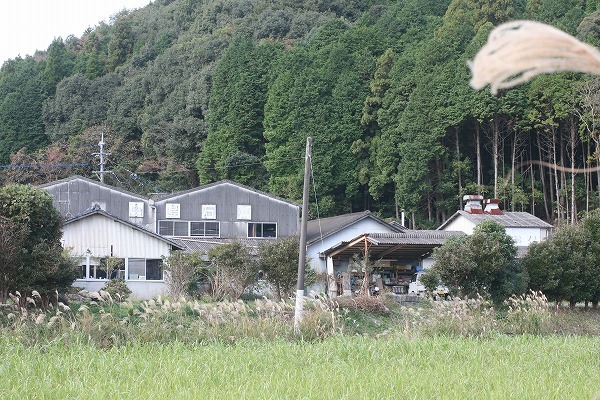 e0082098_08494220.jpg