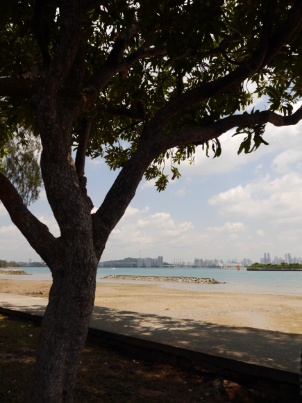 セントジョンズ島＆クス島巡りの旅に出てみた。～St John\'s Island 編～_f0343001_00491512.jpg