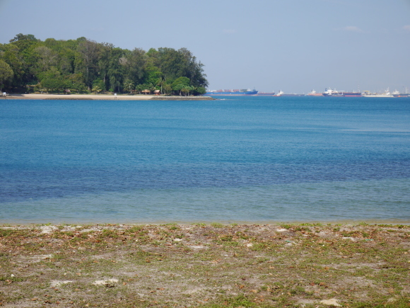 セントジョンズ島＆クス島巡りの旅に出てみた。～Lazarus Island 編～_f0343001_23160758.jpg