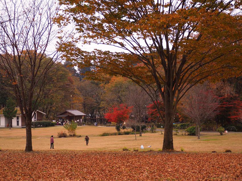 a0320705_16483548.jpg