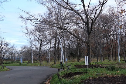 f0325309_11502024.jpg