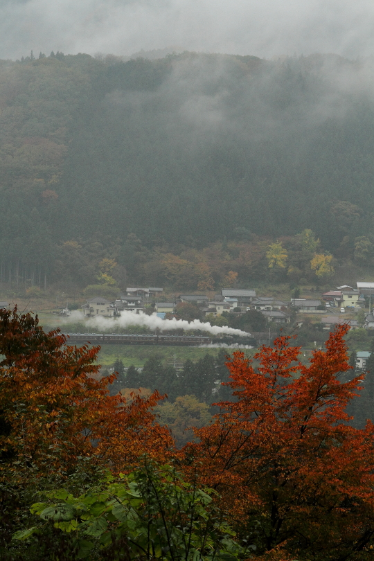 秋雨 - 2015年秋・秩父 - _b0190710_2314123.jpg