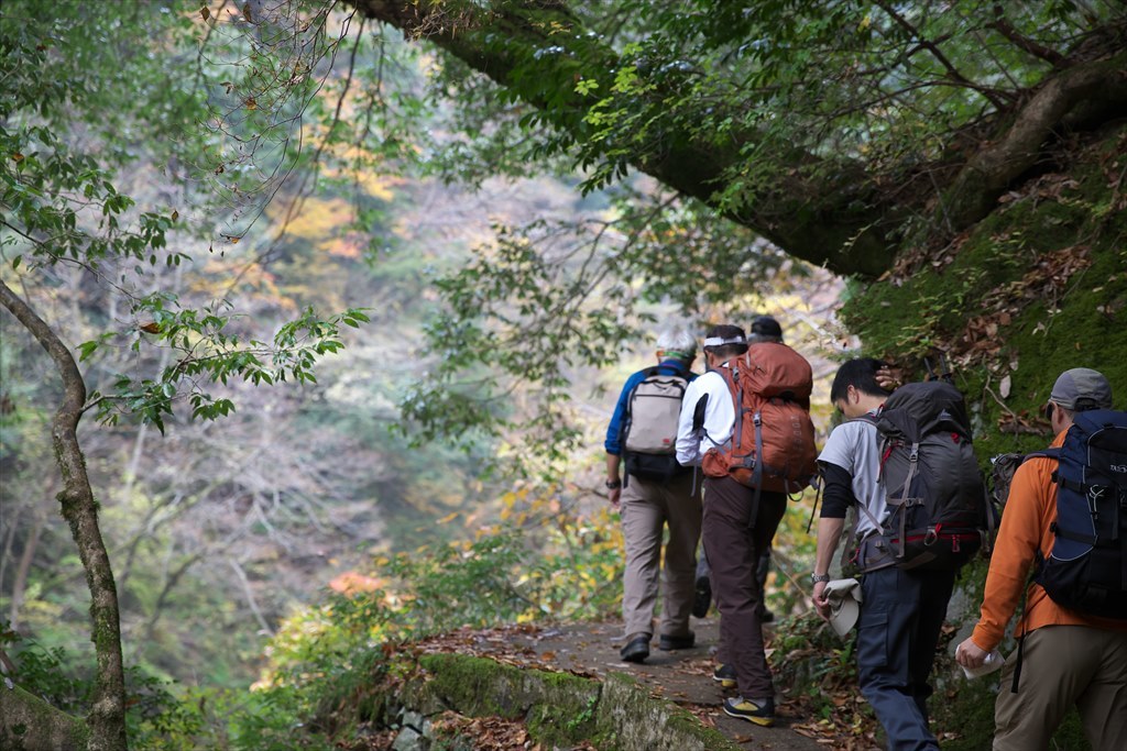 紅葉の三段峡（向山・最早山）を歩いて (2015.11.07)_c0346710_11241837.jpg