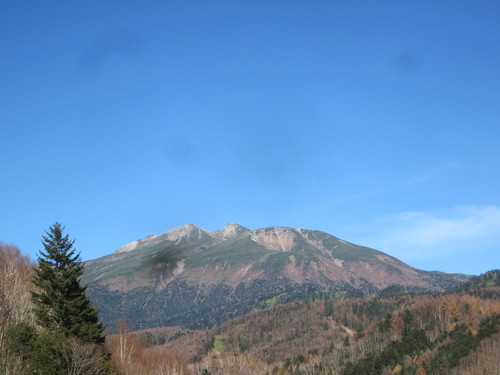 d0038712_16325339.jpg