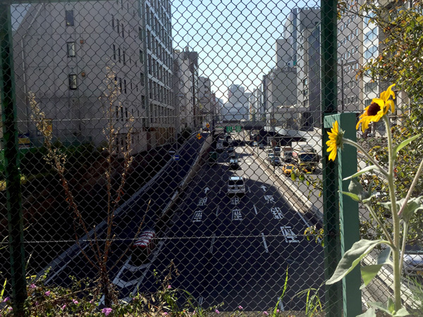 【日本橋】お蕎麦「藪伊豆総本店」、楓川、新肴場のことなど_c0368314_10072896.jpg