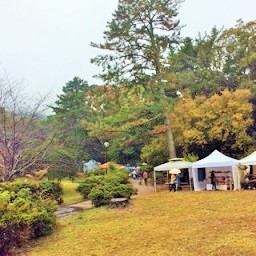 雨の日にお休みをいただいて_d0263815_17264921.jpg