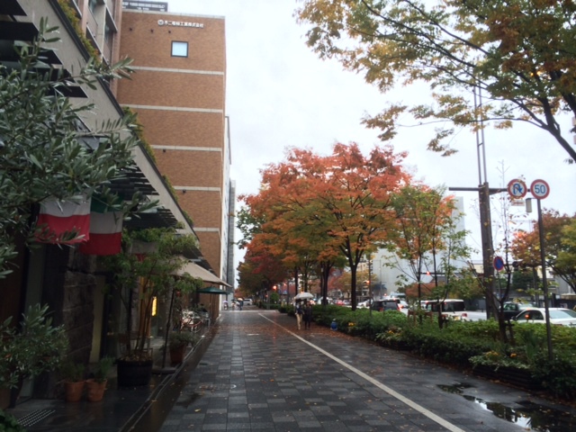 京都の紅葉とクリスマスリースレッスン_e0128024_917686.jpg