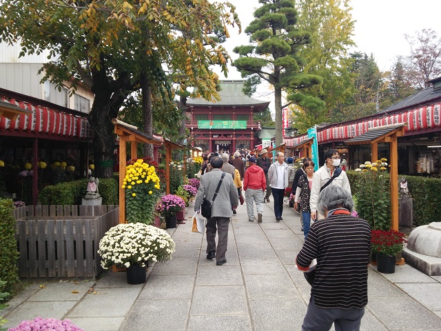 笠間稲荷神社、予科練平和記念館へ･･･党後援会のバス旅行_c0236527_83714.jpg