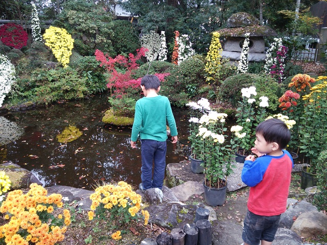 笠間稲荷神社、予科練平和記念館へ･･･党後援会のバス旅行_c0236527_8372119.jpg