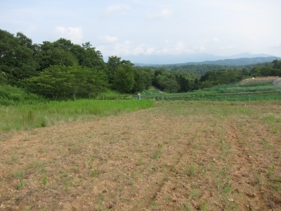 ぶどう畑が出来るまで 放棄地の草刈り_d0336530_16374145.jpg