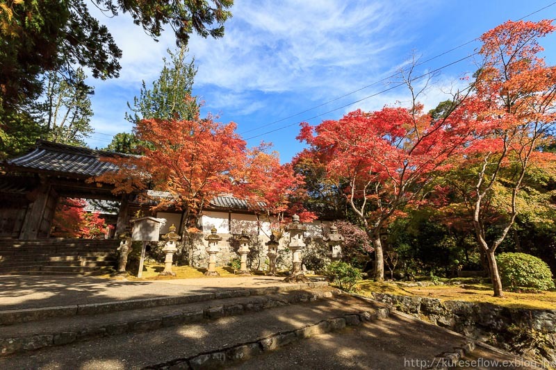 紅葉の高雄　西明寺_b0325840_19542132.jpg