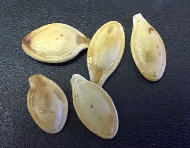 e0351841_08264456.jpg