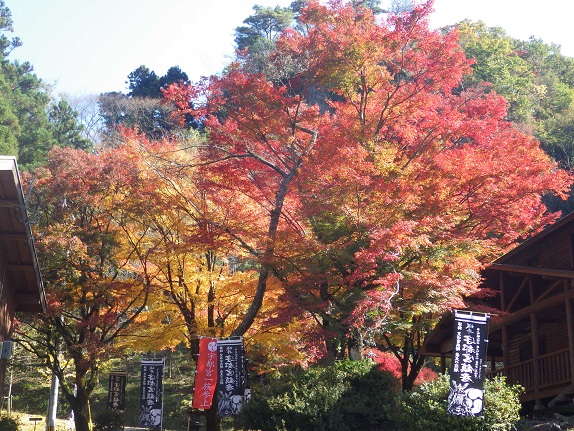 e0164643_1419165.jpg