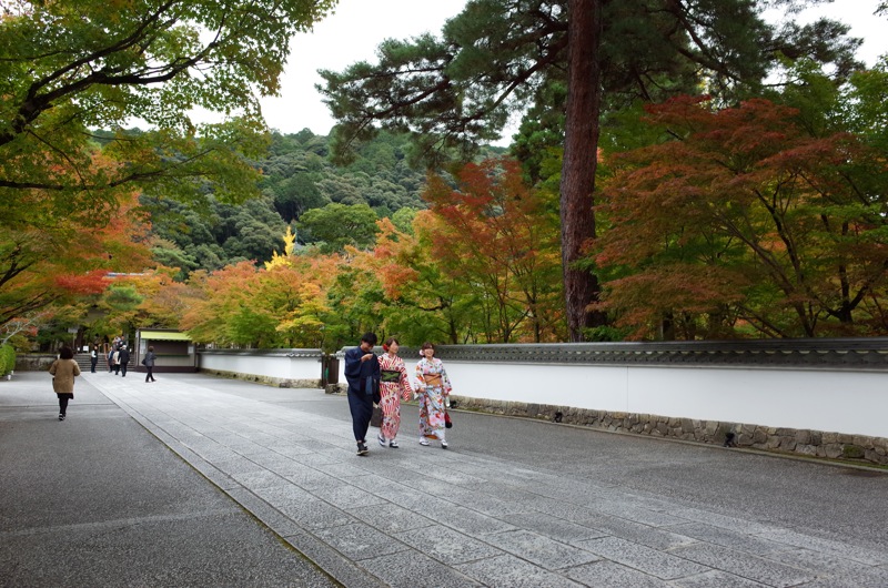 2015年11月の京都 〜南禅寺 永観堂 哲学的ネコ歩き〜_f0169147_11184568.jpg