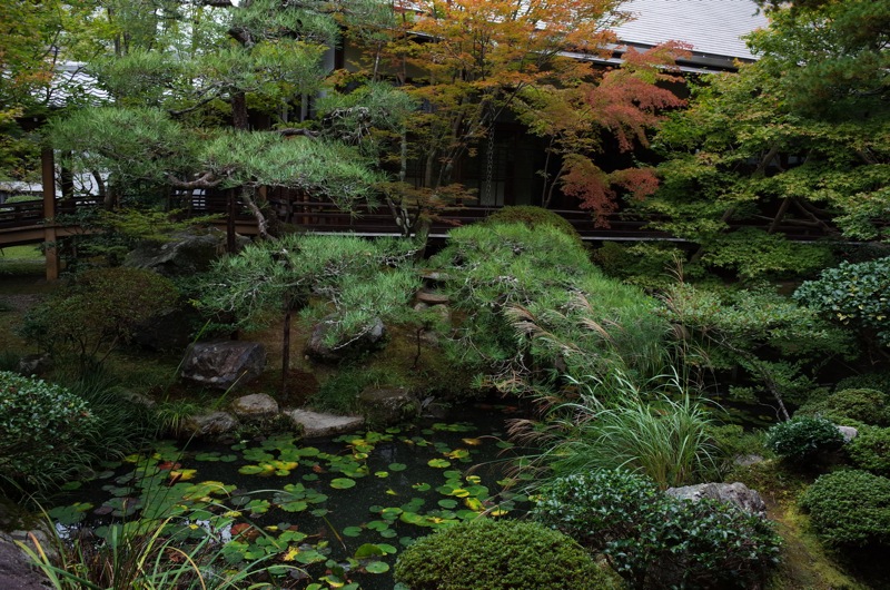 2015年11月の京都 〜南禅寺 永観堂 哲学的ネコ歩き〜_f0169147_11201574.jpg