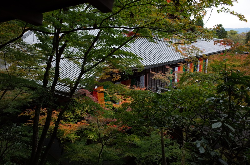 2015年11月の京都 〜南禅寺 永観堂 哲学的ネコ歩き〜_f0169147_1121419.jpg