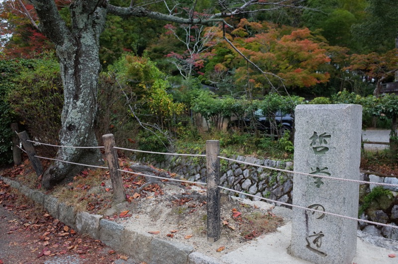 2015年11月の京都 〜南禅寺 永観堂 哲学的ネコ歩き〜_f0169147_11234651.jpg