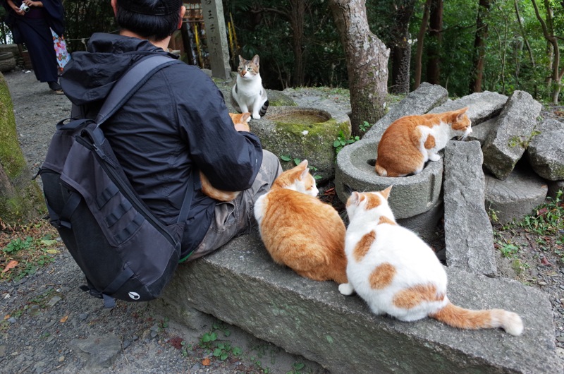 2015年11月の京都 〜南禅寺 永観堂 哲学的ネコ歩き〜_f0169147_11253977.jpg