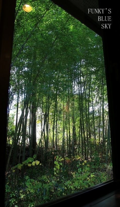 c0145250_10492545.jpg