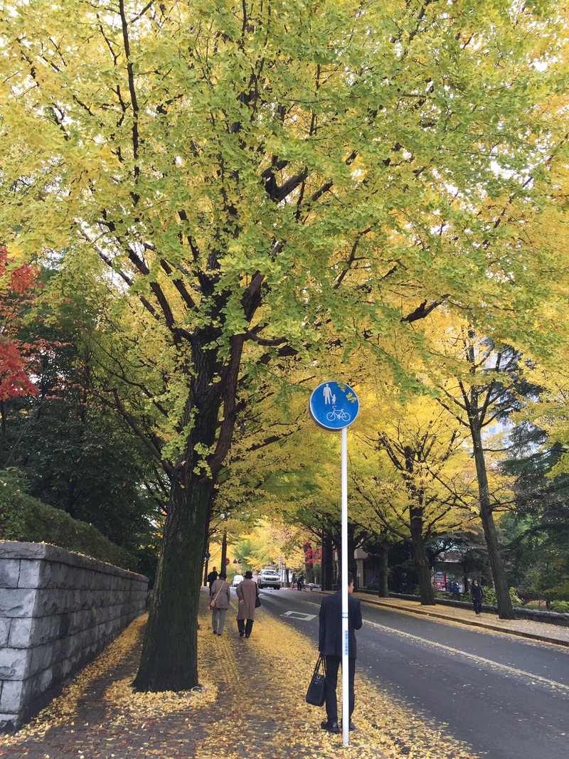 日本の大規模コホートでは心房細動のイベント予測因子はCHADS2スコアとやや違う:PLOS one誌_a0119856_21392868.jpg