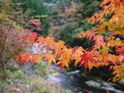 a0254656_16571627.jpg